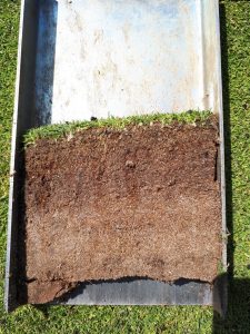 soil profile thatch ags fertiliser nutrition sports turf