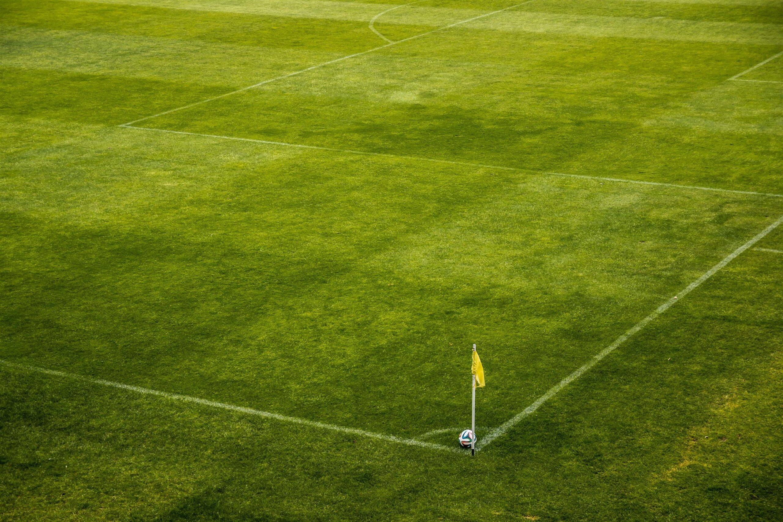 Sports Pitches; The AGS Renovation Agronomic Principles
