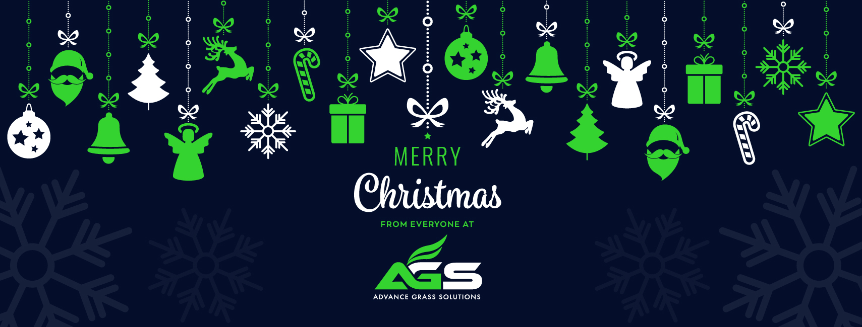Merry Christmas and Happy New Year from everyone at AGS